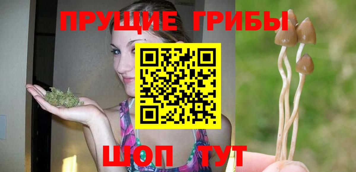 Галлюциногенные грибы мицелий  Вход с VPN  Бузулук  закладка  Галлюциногенные грибы Psilocybe 